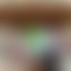 Img 20240127 110550 211