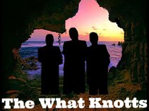 The What Knotts