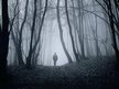 MICHAEL SAINT JAMES: SONGS FROM THE MUSE...