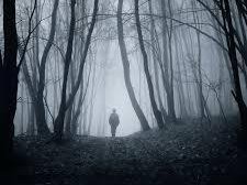 MICHAEL SAINT JAMES: SONGS FROM THE MUSE...