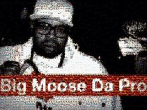 Big Moose Da Pro