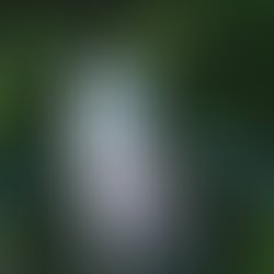 Artist 7697797 1654199613