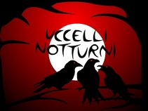Uccelli Notturni
