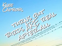 Knee Capbobs