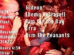 Image for Arm the Peasants