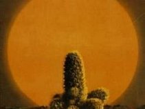 earth cactus