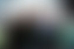 1457561562 promoshotox