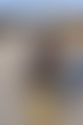 R. treacher 165 1273003871