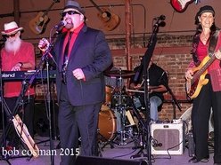 Image for The Used Blues Band