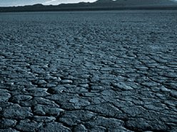 ReverbNation profile picture for @landlords