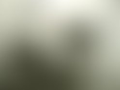 32445 127913100573027 117607558270248 192234 903692 n 1279610587 1299544926