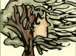 Gossip in the Forest