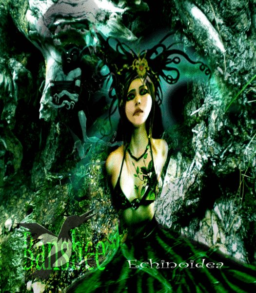 ReverbNation profile picture for @banshee