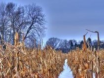 MidWestWordMatchers
