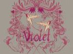 ReverbNation profile picture for @violets