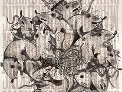 Image for Magnolia
