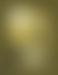 Ashes and roots v3 800x600