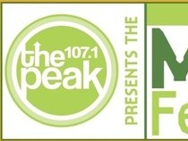 Pleasantville Music Festival