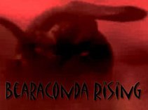 The Bearacondas