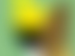 Waitubuli dominica cover