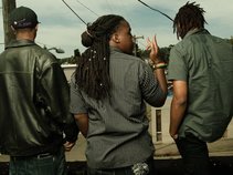 Kurse Krew