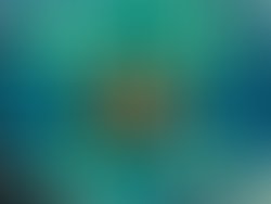 1416836782 75037489