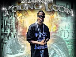 YOUNG LOON
