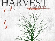 Black Harvest