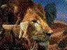 Image for A