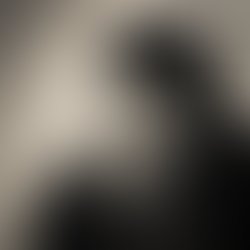 12e2085337de30b8a34b46b284a9c8954f84ddce