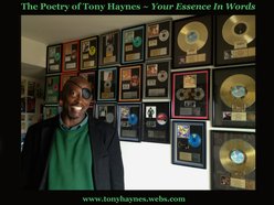 Tony Haynes