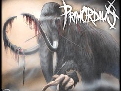 Image for Primordius
