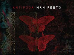 Image for ANTIPODA