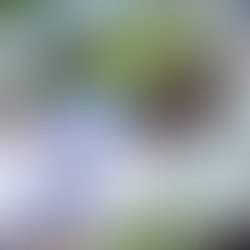 F15d8012c03ef6817497b5e484c80fd90b56792a