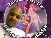 Skreet Scholar Sledge