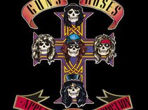 guns and roses