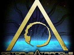 Image for Octopus Triangle