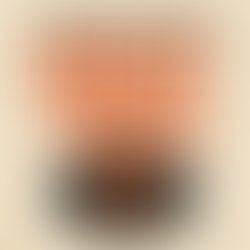 File 00000000f4a471f5b58f9893e0337a8b