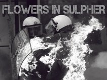 Flowers In Sulpher