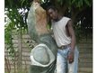 2tsi king
