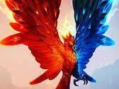 Phoenix