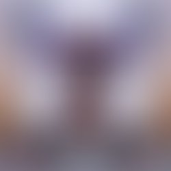 Fb img 16616338767847499