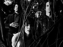 Le Butcherettes