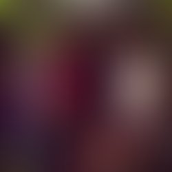 Artist 8182064 1664366016