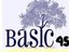 Basic 45