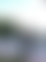 Cbd5aded d104 4f71 89fb 9afad163c525