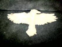As The Crow Flies