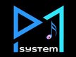 P.M.System