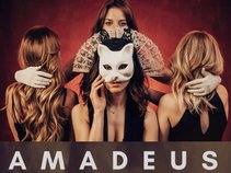 Amadeus Electric Quartet