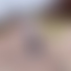 Fb img 17314268391631587